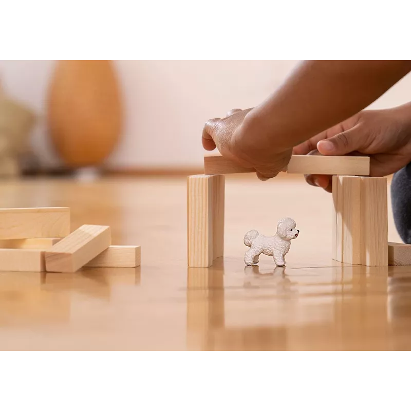 schleich Bichon Frise šunelis