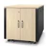 APC NetShelter Soundproof 12U serverio spinta su triukšmo slopinimu, Klevo spalvos