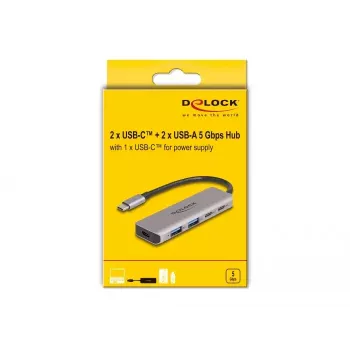 DeLOCK USB 3.2 Gen 1 5 Gbps 2x USB-C ir 2x USB-A metalinis USB šakotuvas pilkas