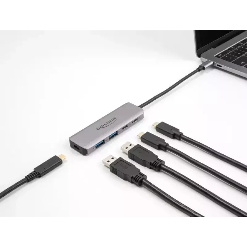 DeLOCK USB 3.2 Gen 1 5 Gbps 2x USB-C ir 2x USB-A metalinis USB šakotuvas pilkas
