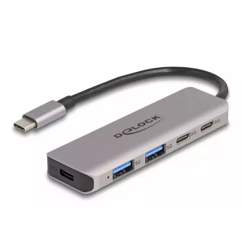 DeLOCK USB 3.2 Gen 1 5 Gbps 2x USB-C ir 2x USB-A metalinis USB šakotuvas pilkas