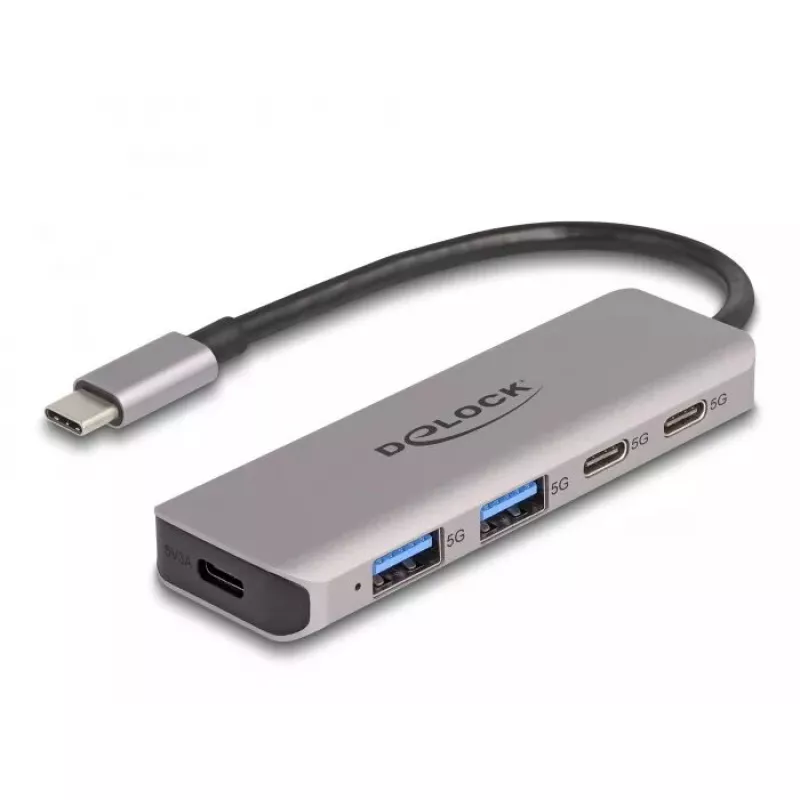 DeLOCK USB 3.2 Gen 1 5 Gbps 2x USB-C ir 2x USB-A metalinis USB šakotuvas pilkas
