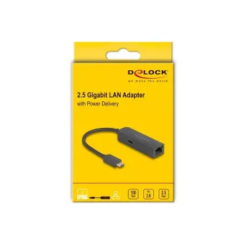 DeLOCK USB Type-C adapteris 2.5 Gigabit LAN su Power Delivery 100W