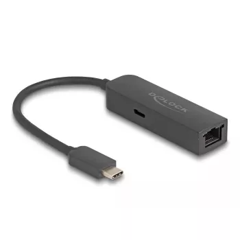 DeLOCK USB Type-C adapteris 2.5 Gigabit LAN su Power Delivery 100W
