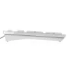 DELL KB216 laidinė klaviatūra – vokiškas QWERTZ išdėstymas, balta, pilno dydžio (100%)