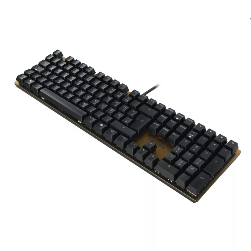 Mechaninė klaviatūra Cherry KC 200 MX USB QWERTY 108 klavišų juoda/bronzinė