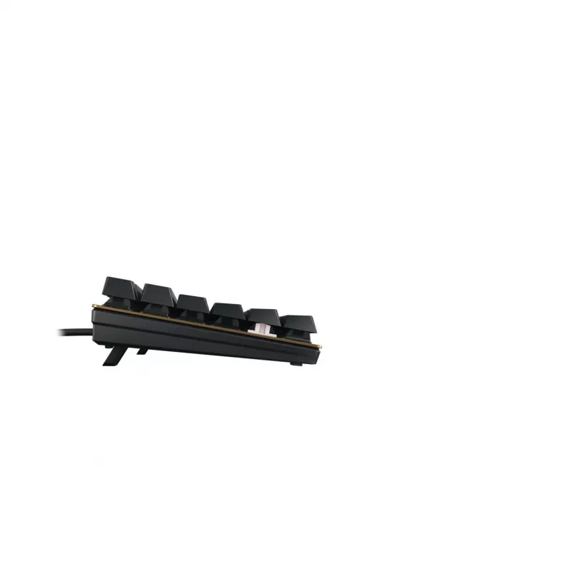 Mechaninė klaviatūra Cherry KC 200 MX USB QWERTY 108 klavišų juoda/bronzinė