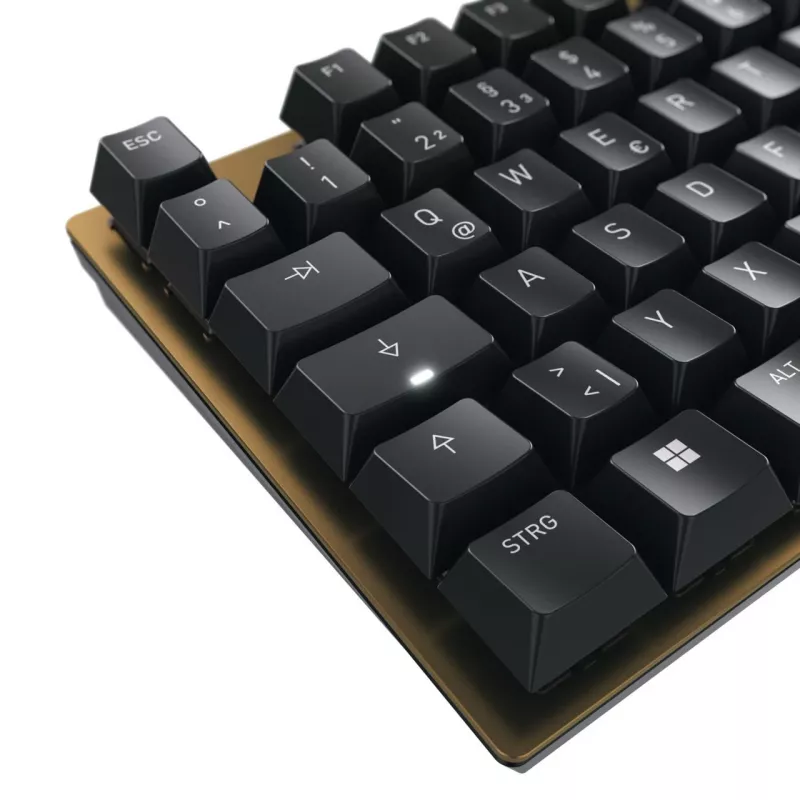 Mechaninė klaviatūra Cherry KC 200 MX USB QWERTY 108 klavišų juoda/bronzinė