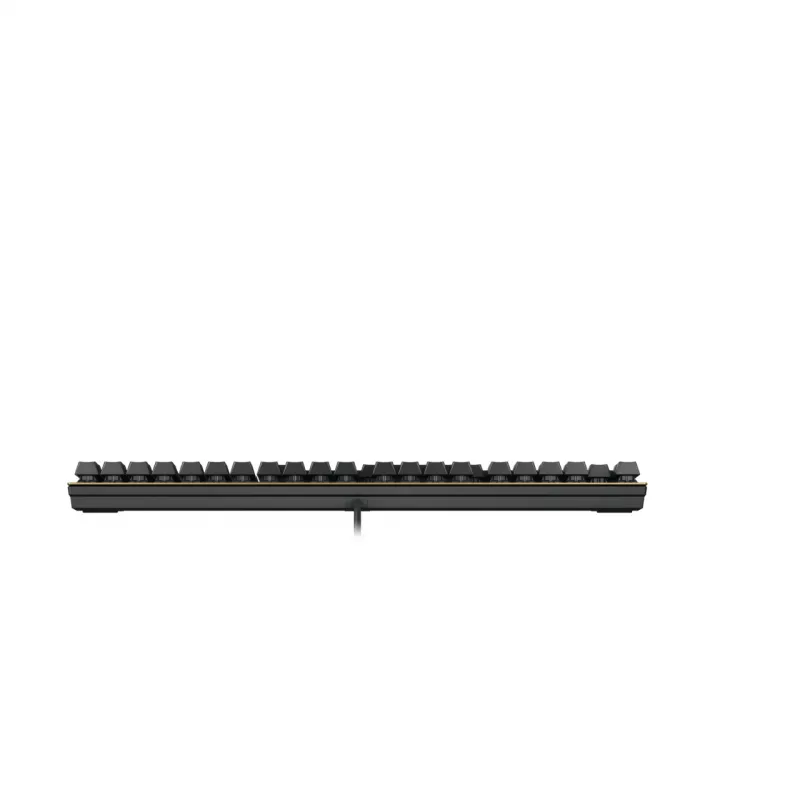 Mechaninė klaviatūra Cherry KC 200 MX USB QWERTY 108 klavišų juoda/bronzinė