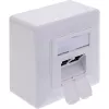 InLine 76842A kištukinis lizdas 2 x RJ-45 baltas tinklo kabelis Cat 6a