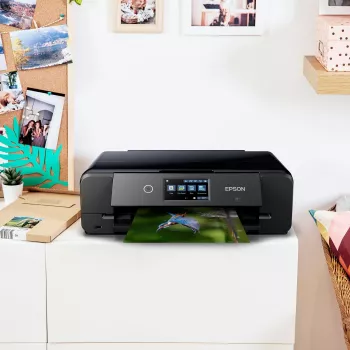Epson Expression Photo XP-980 daugiafunkcis spausdintuvas A3, 5760x1440 DPI, 28 ppm, Wi-Fi