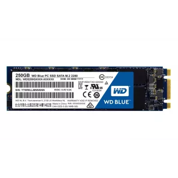 SSD diskas Western Digital Blue 250GB 2,5 colio SATA3 WDS250G1B0B