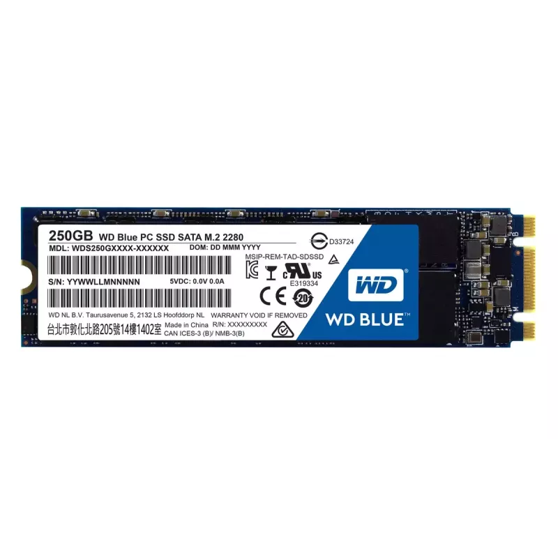 SSD diskas Western Digital Blue 250GB 2,5 colio SATA3 WDS250G1B0B