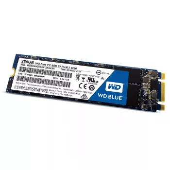 SSD diskas Western Digital Blue 250GB 2,5 colio SATA3 WDS250G1B0B