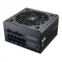 COUGAR GR 750W ATX3.1/PCIE 5.1 maitinimo blokas, 80 Plus Gold, 750 W