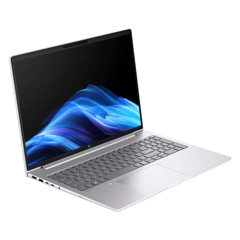 HP ProBook 4 G1i nešiojamasis kompiuteris Intel Core Ultra 5 225U 40,6 cm (16 colių) WUXGA 16 GB DDR5-SDRAM 512 GB SSD Wi-Fi 6E (802.11ax) Windows 11 Pro sidabrinis