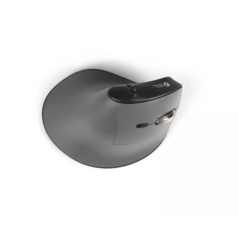 BakkerElkhuizen FastForward Pro pelė, dešinei rankai, vertikalus dizainas, optinė, RF belaidė + Bluetooth + USB Type-C, 5000 DPI, juoda, pilka
