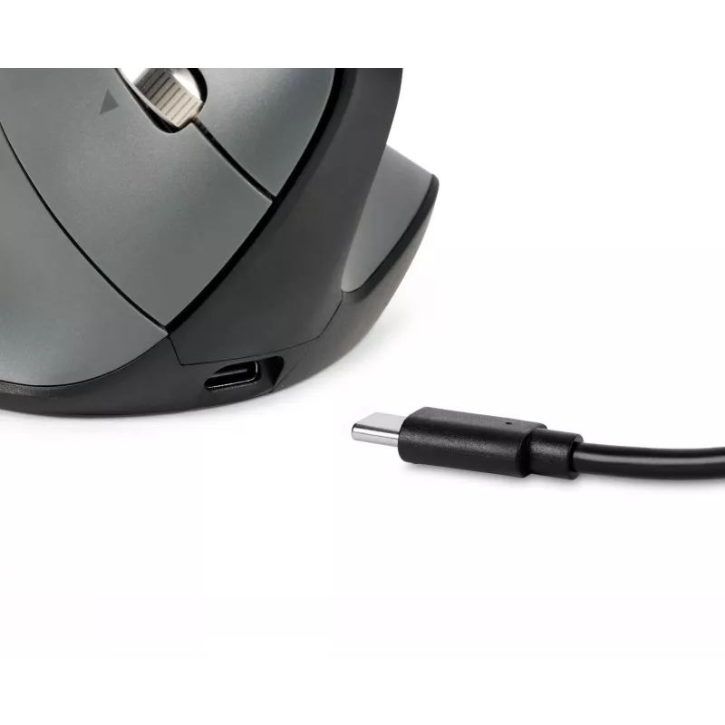 BakkerElkhuizen FastForward Pro pelė, dešinei rankai, vertikalus dizainas, optinė, RF belaidė + Bluetooth + USB Type-C, 5000 DPI, juoda, pilka