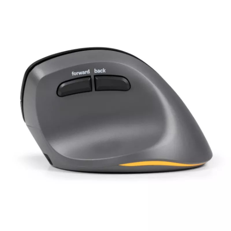 BakkerElkhuizen PRF Pro pelė dešinei rankai, vertikali, optinė, RF Wireless + Bluetooth + USB Type-C, 2400 DPI, juoda, pilka
