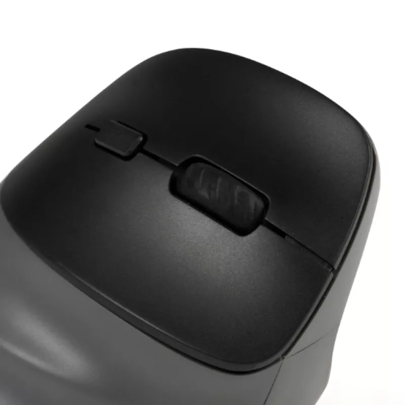 BakkerElkhuizen PRF Pro pelė dešinei rankai, vertikali, optinė, RF Wireless + Bluetooth + USB Type-C, 2400 DPI, juoda, pilka