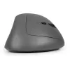 BakkerElkhuizen MidWay pelė dešinei rankai, vertikalaus dizaino, optinė, RF Wireless + Bluetooth + USB Type-C, 2400 DPI, pilka, juoda