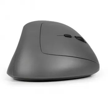 BakkerElkhuizen MidWay pelė dešinei rankai, vertikalaus dizaino, optinė, RF Wireless + Bluetooth + USB Type-C, 2400 DPI, pilka, juoda