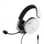 Trust GXT 490 FAYZO ausinės su mikrofonu, laidinės, USB Type-A, juodos/baltos