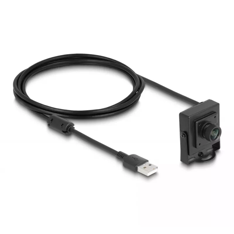 DeLOCK 96403 USB 2.0 Type-A kamera su 1,95 m laidu