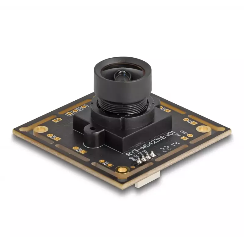 DeLOCK 12064 internetinė kamera 2,1 MP 1920 x 1080 USB 2.0 juoda