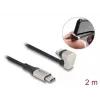 Duomenų ir įkrovimo laidas DeLOCK USB Type-C į Lightning 180° kampu 2 m MFi