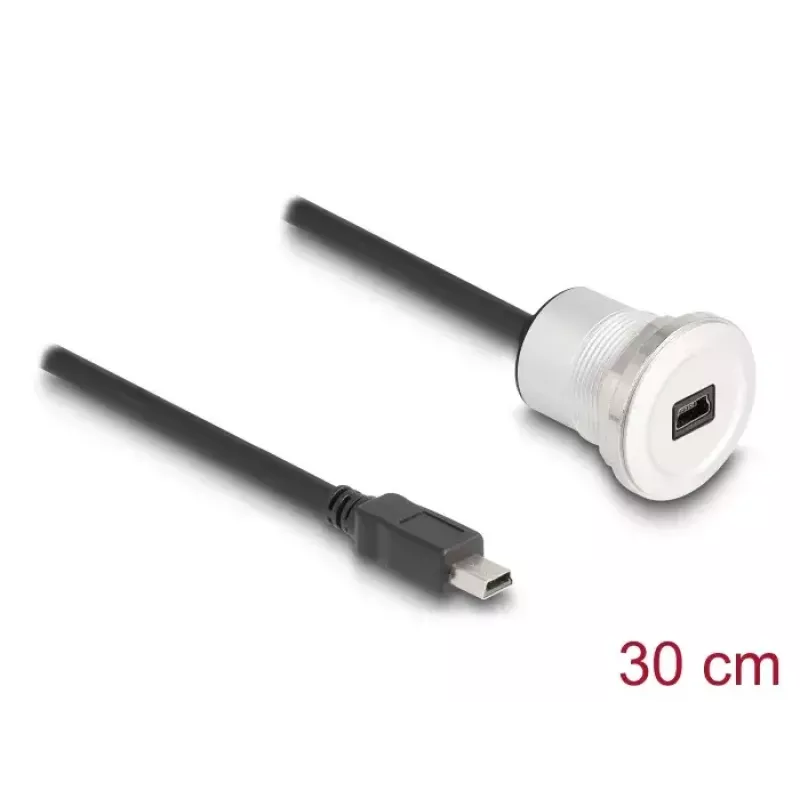 USB laidas DeLOCK 88186 0,3 m Mini-USB B juodas sidabrinis