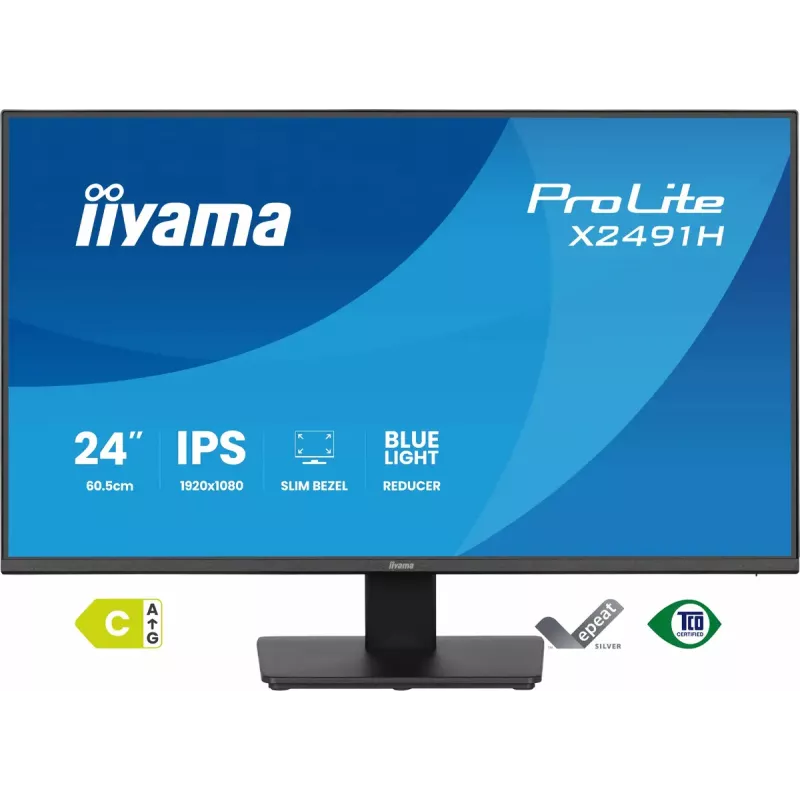 Monitorius IIYAMA ProLite X2491H-B1 23,8 col. (60,5 cm) IPS LCD Full HD 1920×1080 matinis juodas, VESA