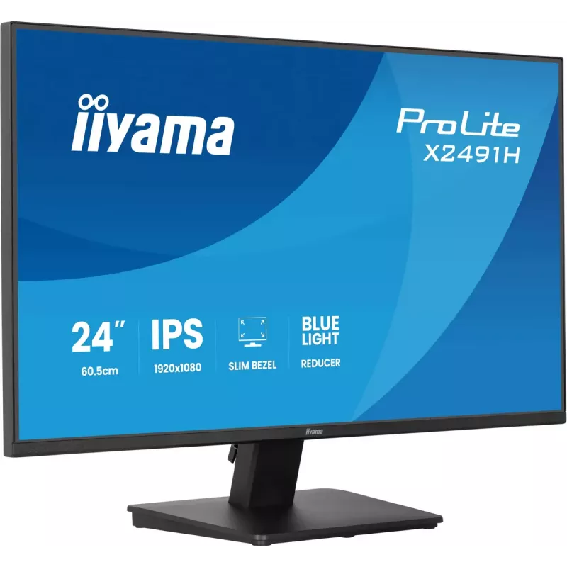 Monitorius IIYAMA ProLite X2491H-B1 23,8 col. (60,5 cm) IPS LCD Full HD 1920×1080 matinis juodas, VESA