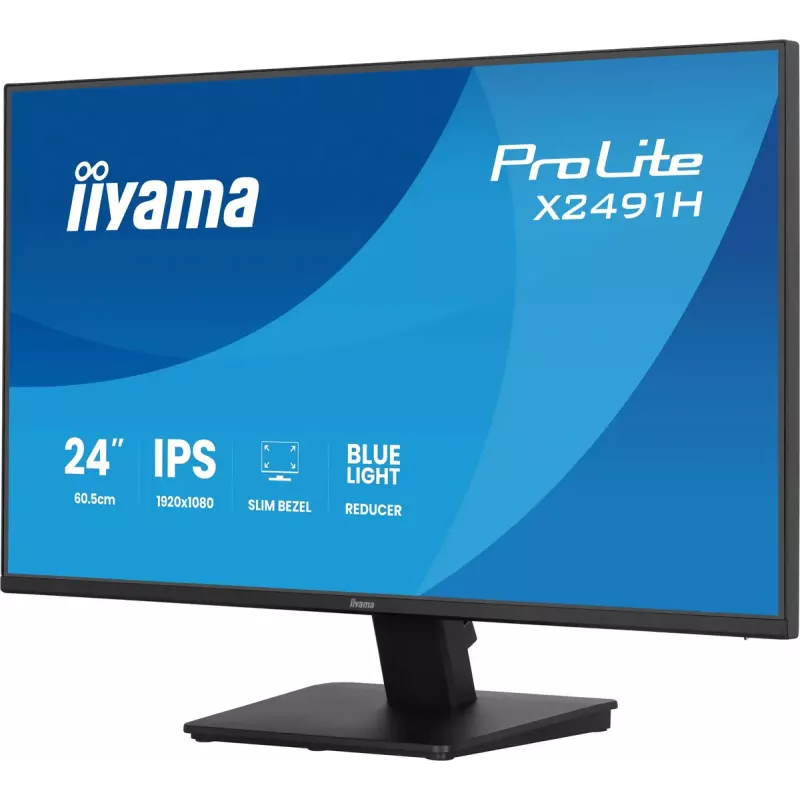 Monitorius IIYAMA ProLite X2491H-B1 23,8 col. (60,5 cm) IPS LCD Full HD 1920×1080 matinis juodas, VESA