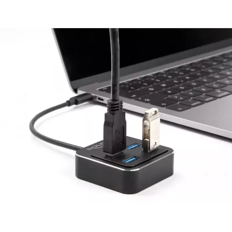 DeLOCK USB 3.2 Gen 2 USB Type-C centras 4 x USB Type-A 10 Gbps