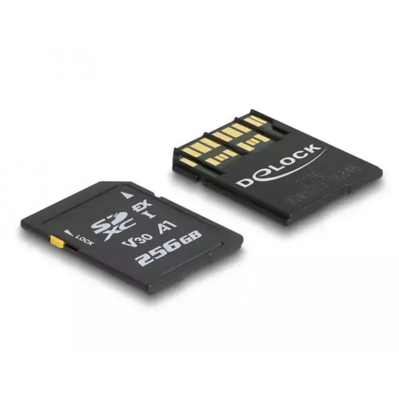 Atminties kortelė DeLOCK 256GB SD UHS-I 54091