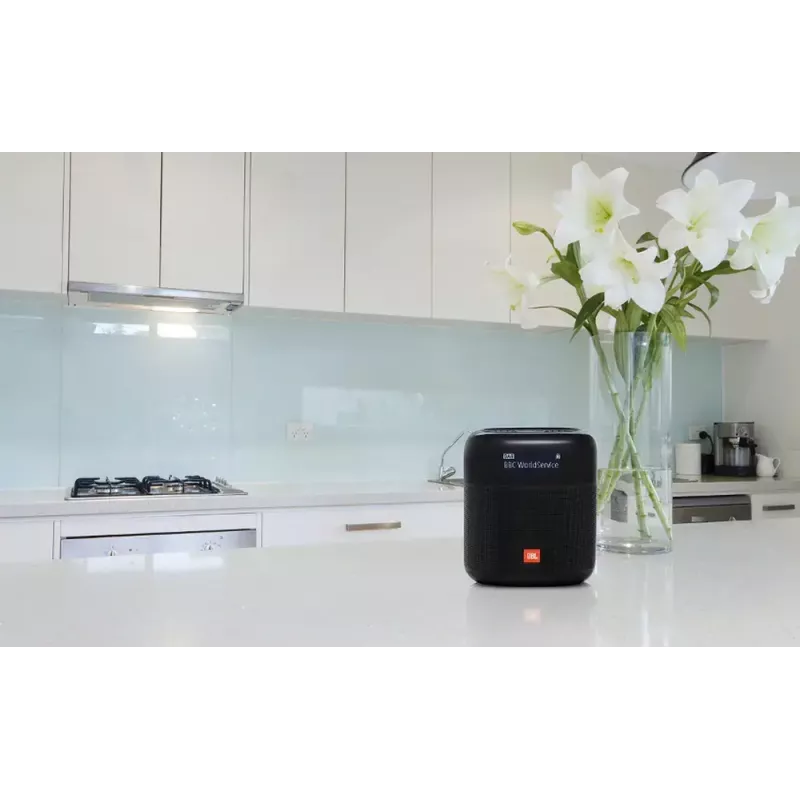Nešiojamas radijo imtuvas JBL Tuner XL juodas DAB 10W