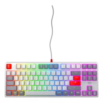 Mechaninė žaidimų klaviatūra CHERRY K4V2 RGB Tenkeyless, laidinė USB, 67 klavišų