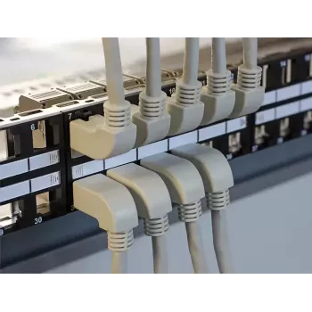 Patch Panel Delock 43280 2U