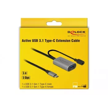 USB ilginimo laidas DeLOCK 85391 USB 3.2 Gen 1 5 m USB A USB C juodai pilkas
