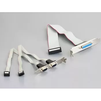 DeLOCK 95232 Mini PCI Express sąsajos plokštė su dviem COM ir vienu LPT prievadu