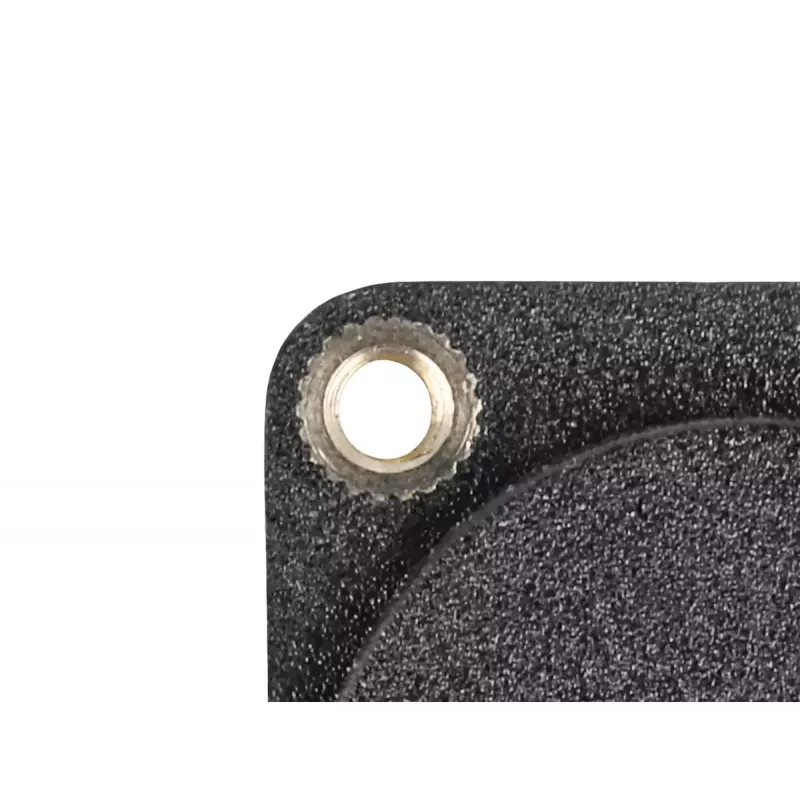 DeLOCK D-Type HDMI lizdas-lizdas juodas 20 cm