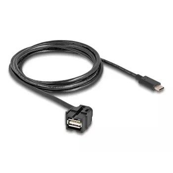 DeLOCK Keystone modulis USB 2.0 A lizdas į USB Type-C kištuką 250° 1,5 m