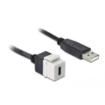 Keystone modulis DeLOCK 86382 plokščias juodas baltas USB C