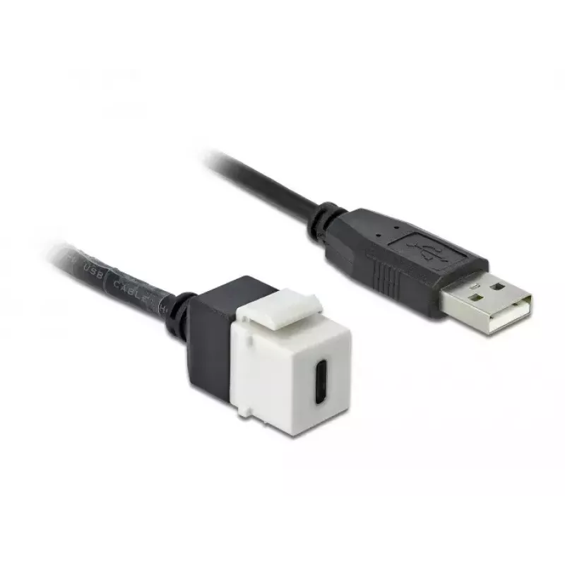 Keystone modulis DeLOCK 86382 plokščias juodas baltas USB C