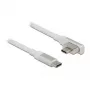 DeLOCK 86703 USB kabelis 1,2 m HDMI Type A USB Type-C pilkas