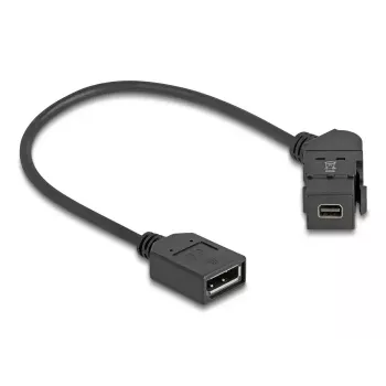 DeLOCK 67155 lyties keitiklis Mini DisplayPort į DisplayPort juodas 0,3 m
