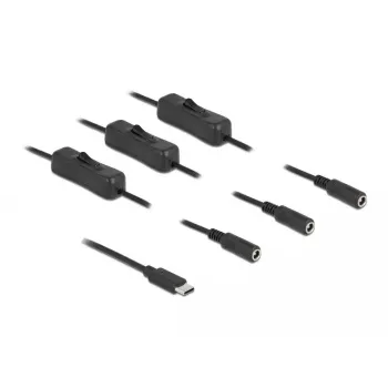 USB Type-C (vyriškas) į 3 x DC 5,5 x 2,1 mm (moteriškas) laidas DeLOCK 86801