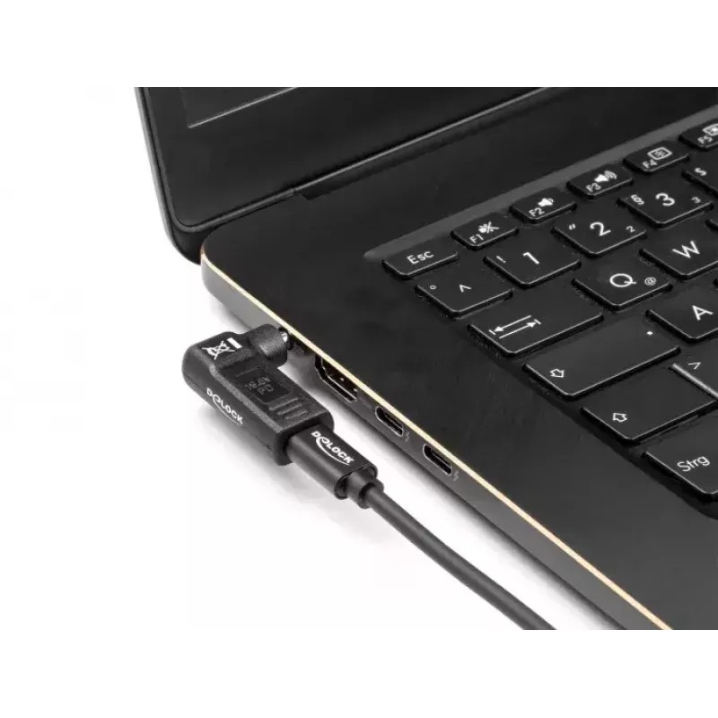 DeLOCK adapteris USB Type-C lizdas į Sony 6,0 x 4,3 mm kištuką 90° kampu