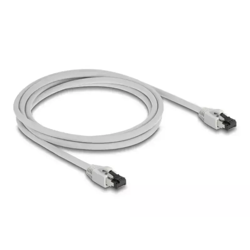 DeLOCK 80560 RJ-45 Cat8.1 tinklo kabelis 2 m pilkas